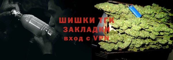 молекула духа Абинск