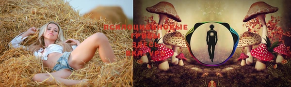 молекула духа Абдулино