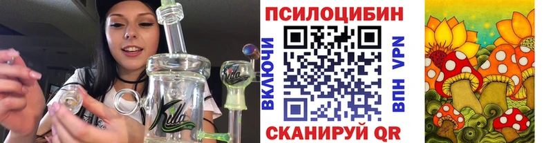 Галлюциногенные грибы мицелий  где купить   Хадыженск 